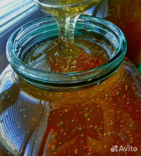 Мед 3л светлое разнотравье, Пенза 2024г