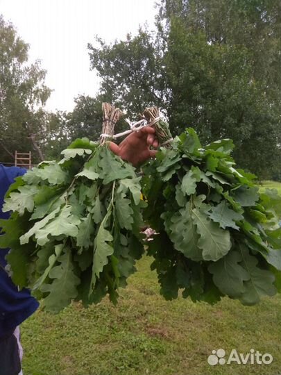 Веники