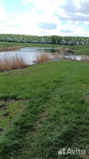 Платная рыбалка воронеж