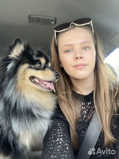 Репетитор-наставник по математике