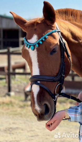 Продам налобники голубой и розовый