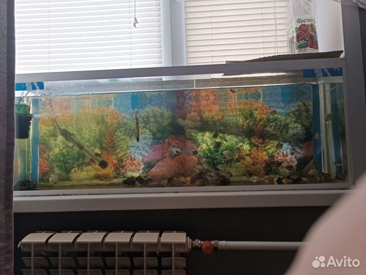 Аквариум для рыбок