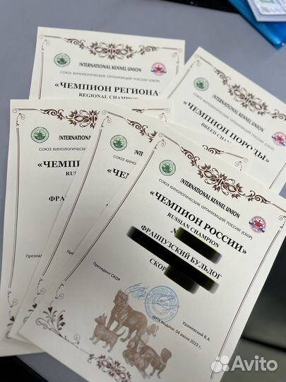 Оформление документов скор, обмен метрик