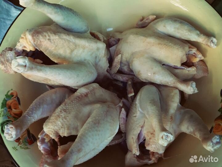 Домашнее мясо кур