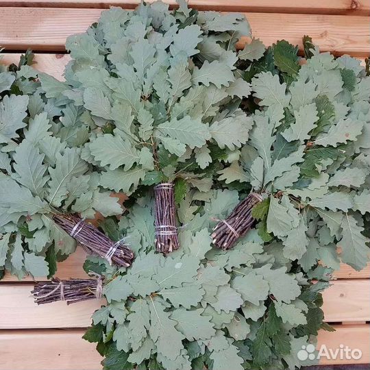 Дубовые веники