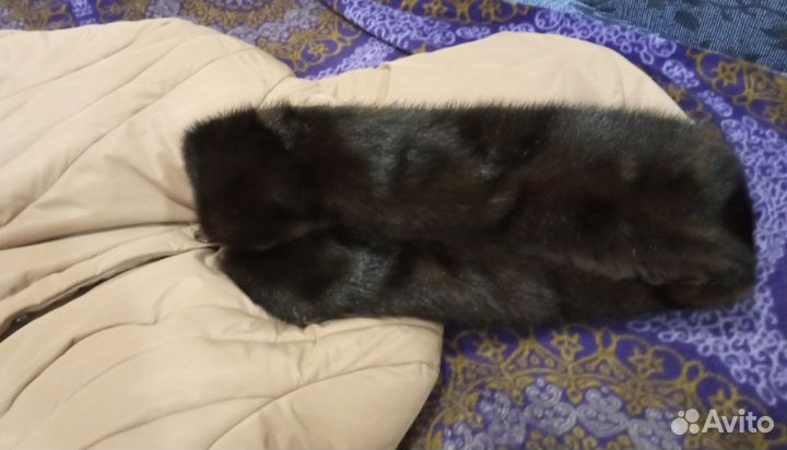 Пальто женское
