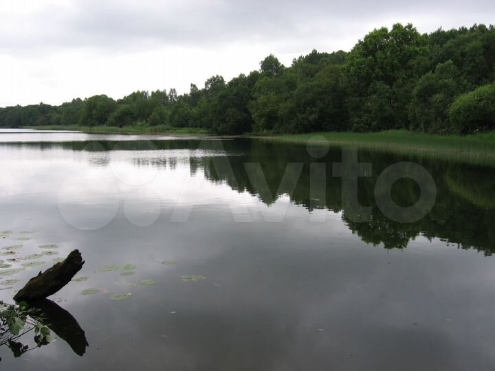 Участок 14,5 сот. (СНТ, ДНП)