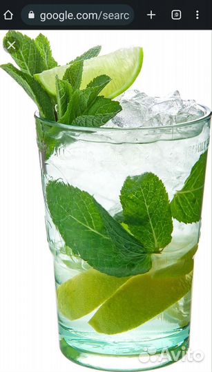 Квас, лимонад, мохито, морс