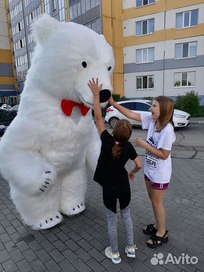 Ростовая кукла Белый Мишка поздравление