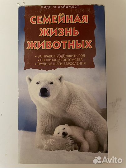 Видеокассеты