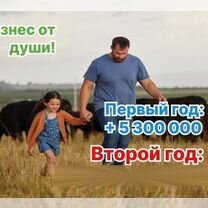 Сельскохозяйственное агентство в городе Нальчик, Нальчик