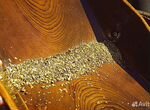 Лицензия на добычу рассыпного золота в Амурской об