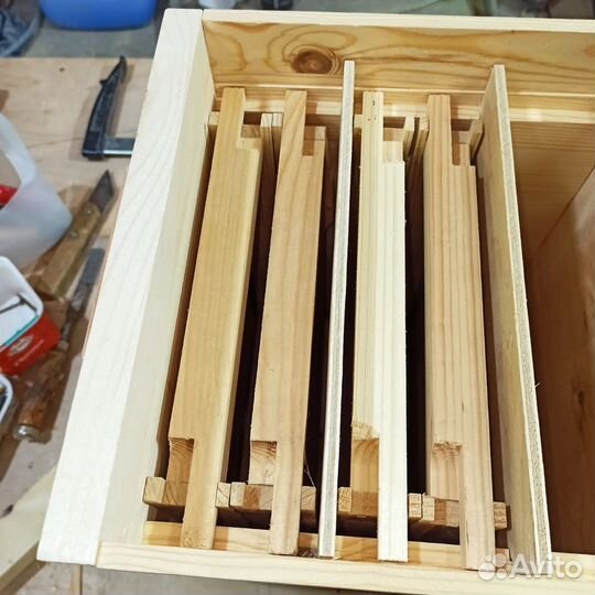 Улей-нуклеус