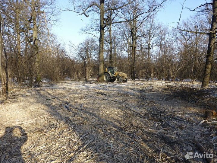 Валка, спил деревьев, удаление, мульчирование