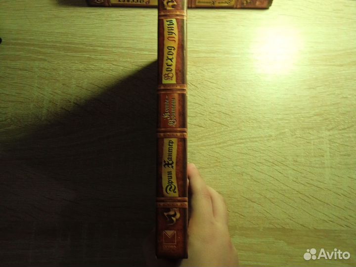 Коты воители книга 