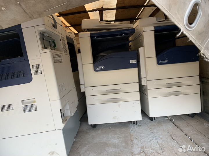 Xerox 7225 мфу лазерный цветной А3