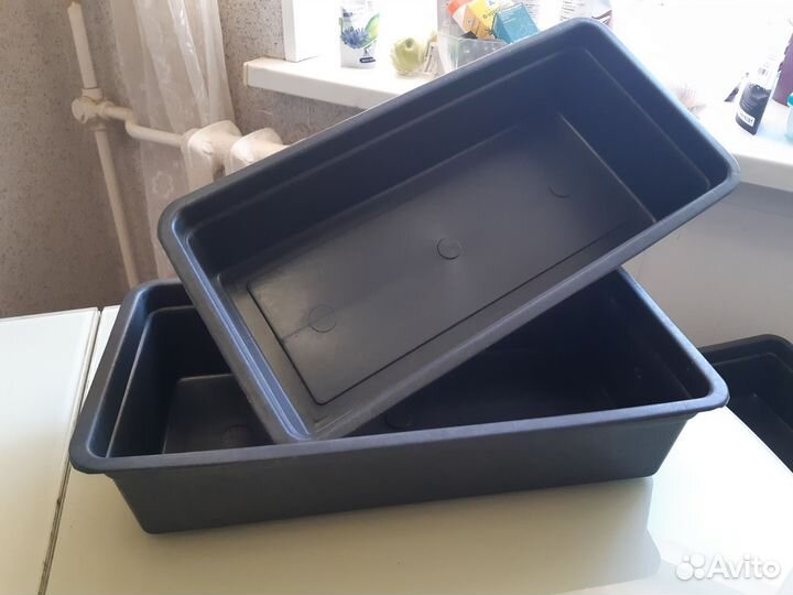 Ящики для рассады