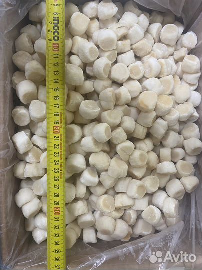 Гребешок филе