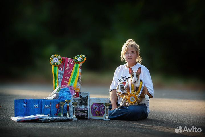 Супер бомба