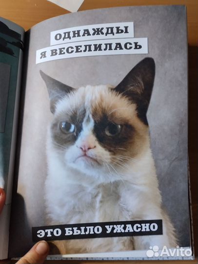 Grumpy cat сердитая книга от самой сердитой кошки