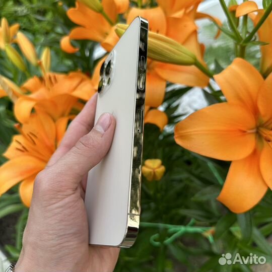 iPhone 12 Pro Max 256Gb