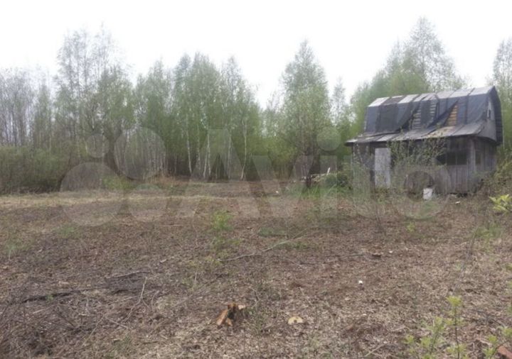 Участок 12 сот. (СНТ, ДНП)