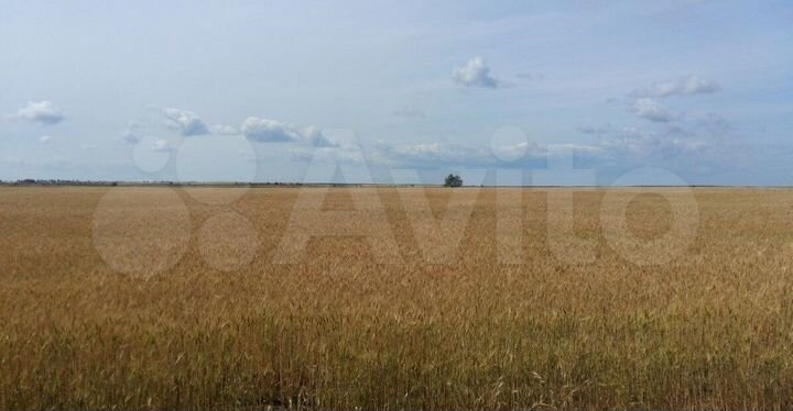 Участок 8,34 га (СНТ, ДНП)