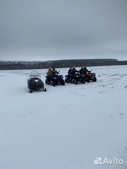 Катание на квадроциклах воронеж