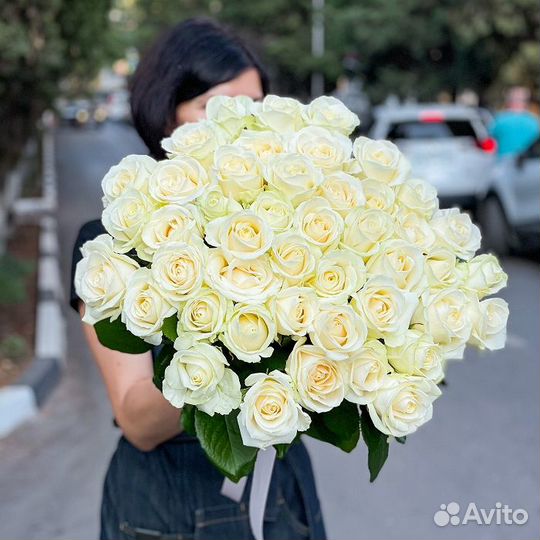 51 белая роза