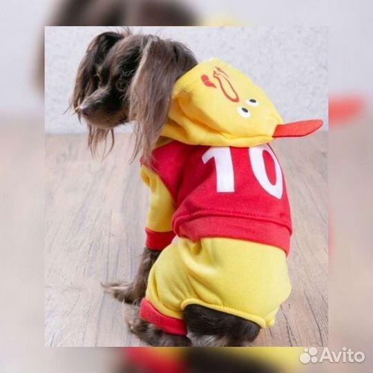 Костюм для мелкой собаки или кошки