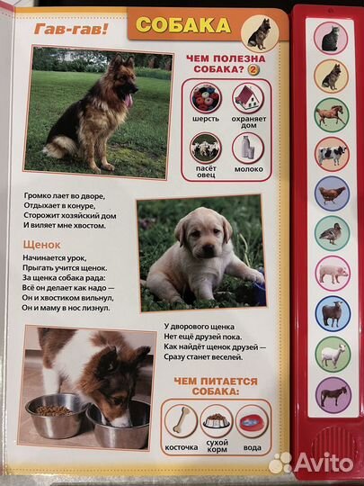 Говорящие детские книги большие