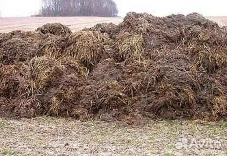 Перегной 3-х годовалый