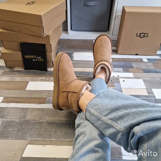 Угги женские ugg classic mini 4 расцветки