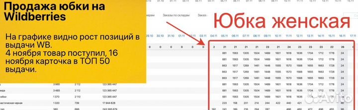 Бизнес на wildberries с прибылью от 100 008р