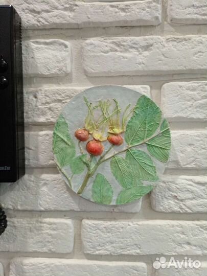 Гипсовый барельеф с оттиском живых растений