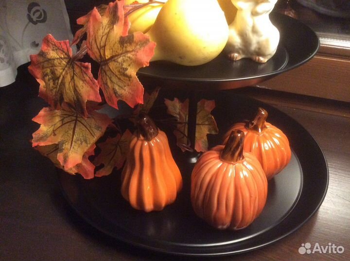 Тыквы декоративные