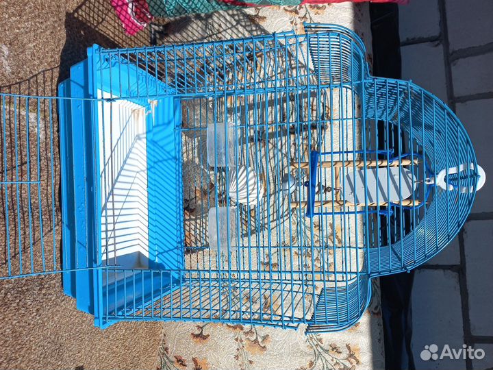 Клетка для волнистого попугая б/у
