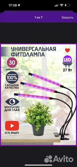 Фитолампа для растений