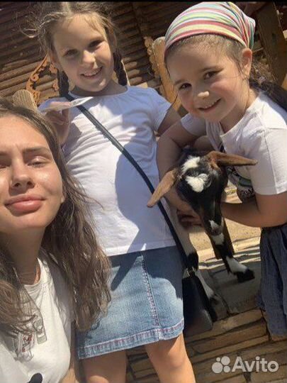 Няня / Экстренная няня