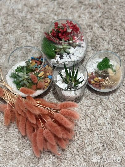 Флорариум мини