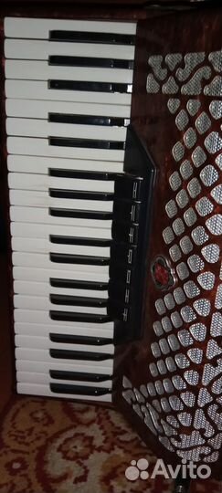 Аккордеон Борей