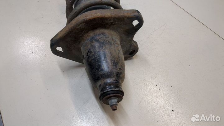 Амортизатор подвески Honda Ridgeline, 2009