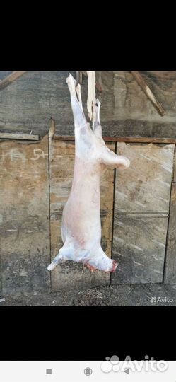 Мясо баранина