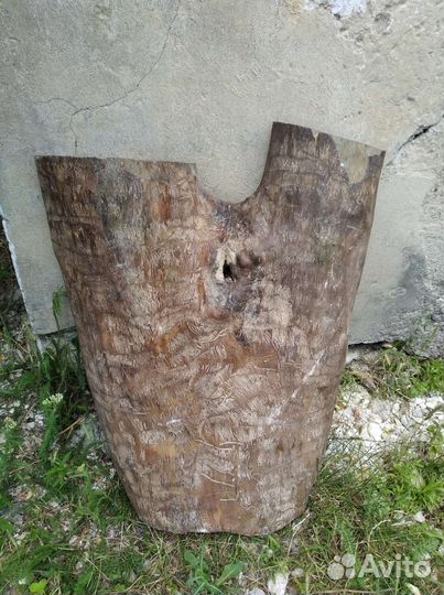 Слэб спил ясень