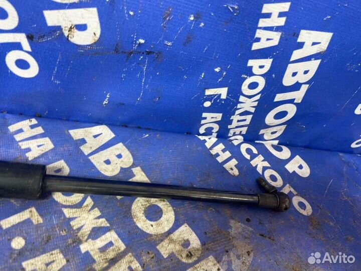 Амортизаторы люка багажного отсека. King Long