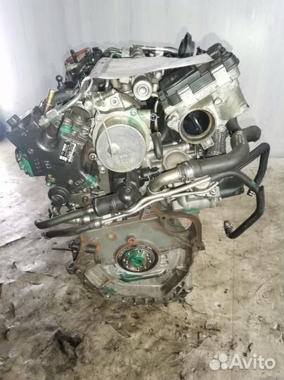 Двигатель A13DTE 1,3cdti Opel цена как на фото