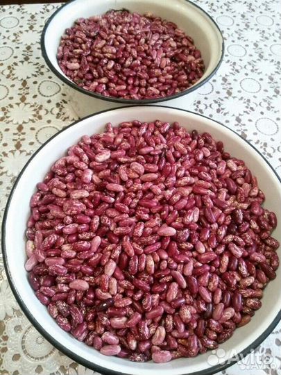 Усы клубники