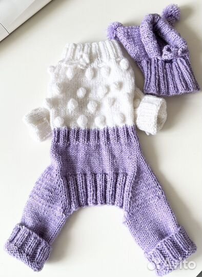 Комбинезон и шапочка для маленькой собаки вязаный