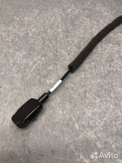 Пер лев трос замка Каптюр