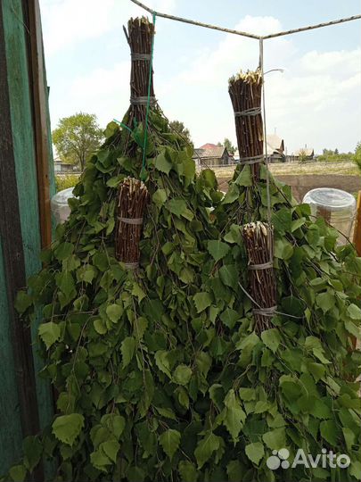 Берёзовые веники